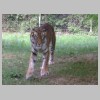 zoo22 (4).jpg